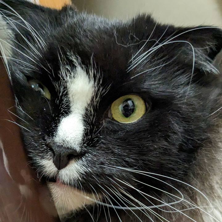 716a9f4c 6437 4a0d b279 03a2764b5511 1692101159134