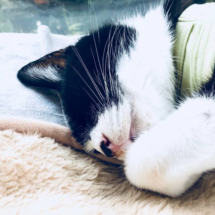 716ae0be 046e 4a38 a895 e27f8a7ba010 1539759047438