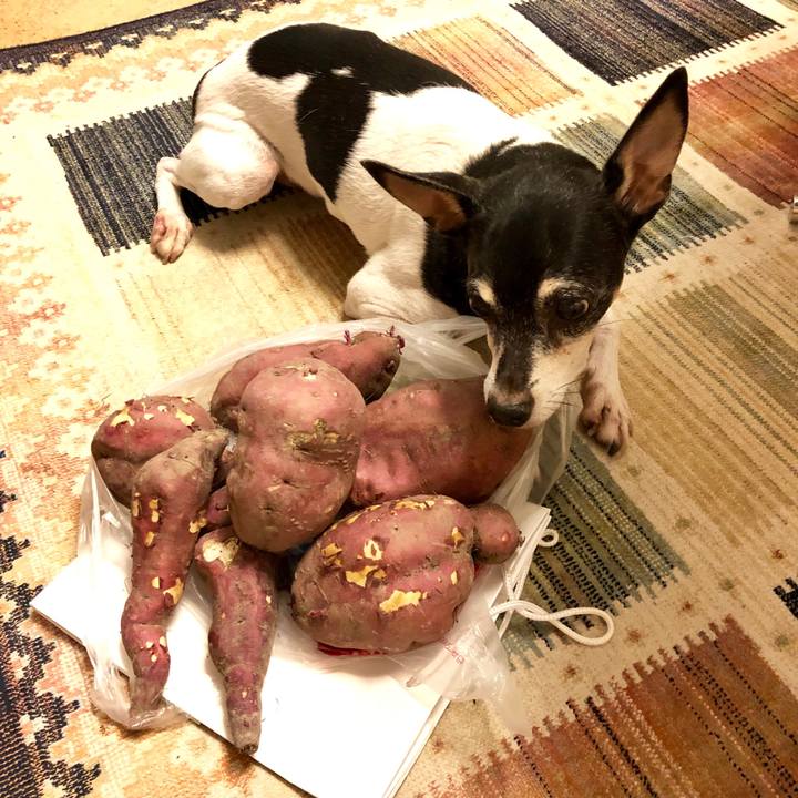 716ae43f 6608 4288 89a5 8fd85ffd1631 1568887616396