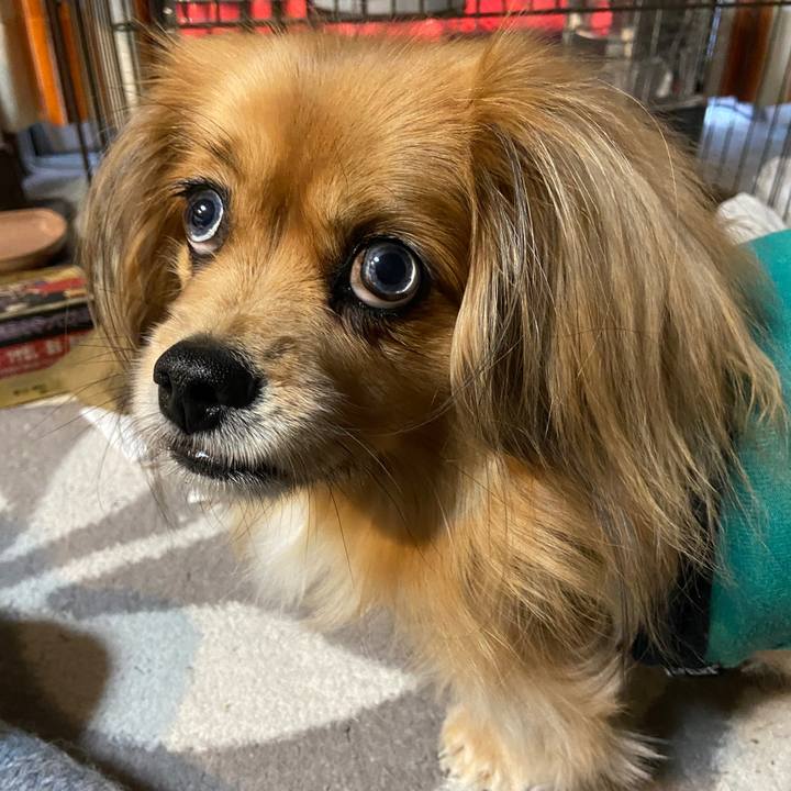 716b176d d860 40df 82dc 9e555a5762dd 1639432029633