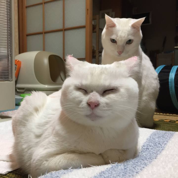 716b2413 d132 4124 9a12 d64967ca889a 1516972953340