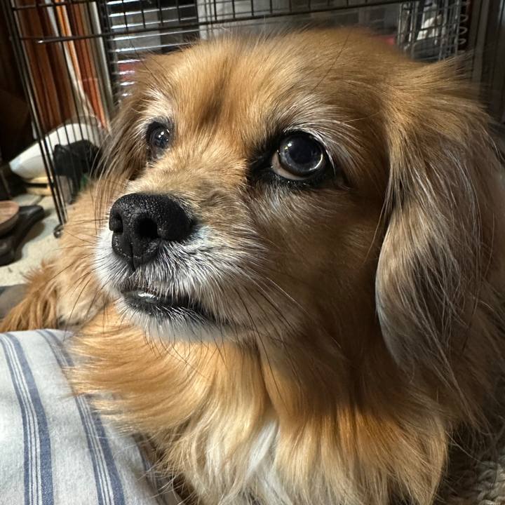 716b27a5 5977 4db6 ac3e 38842ff7f6dd 1734643899278