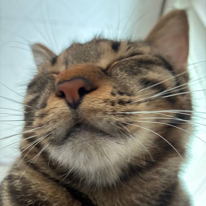 716b31fb a837 4c80 b88d 308e5f1fb076 1757581095329