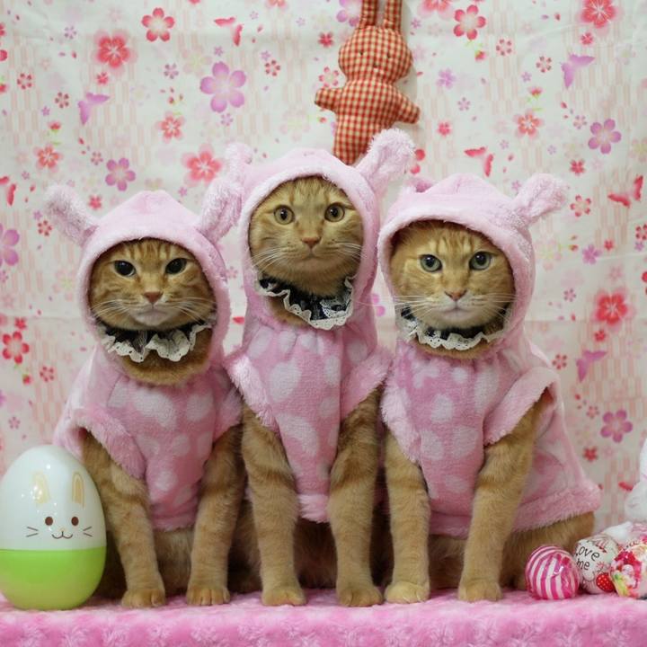 716b45b4 b4e0 4920 bd74 34e74798a3e4 1617493105792