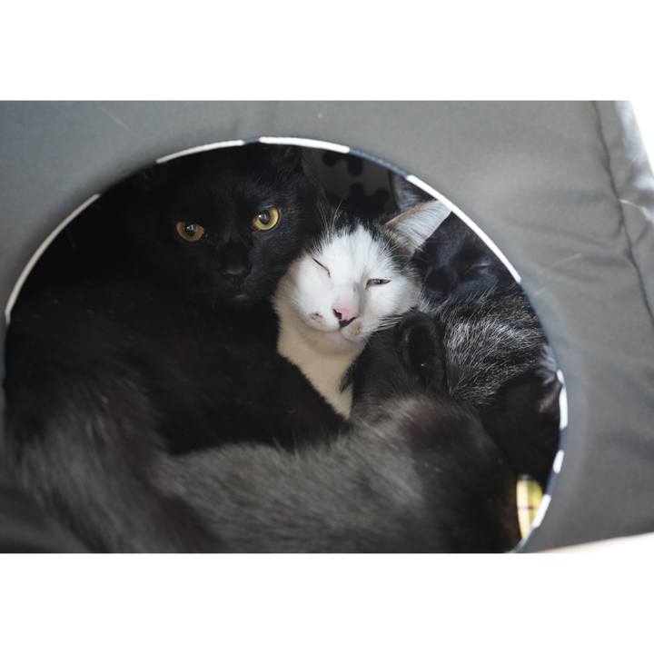 716b7264 5744 4af3 a8b9 2f8cbc783927 1602342939003