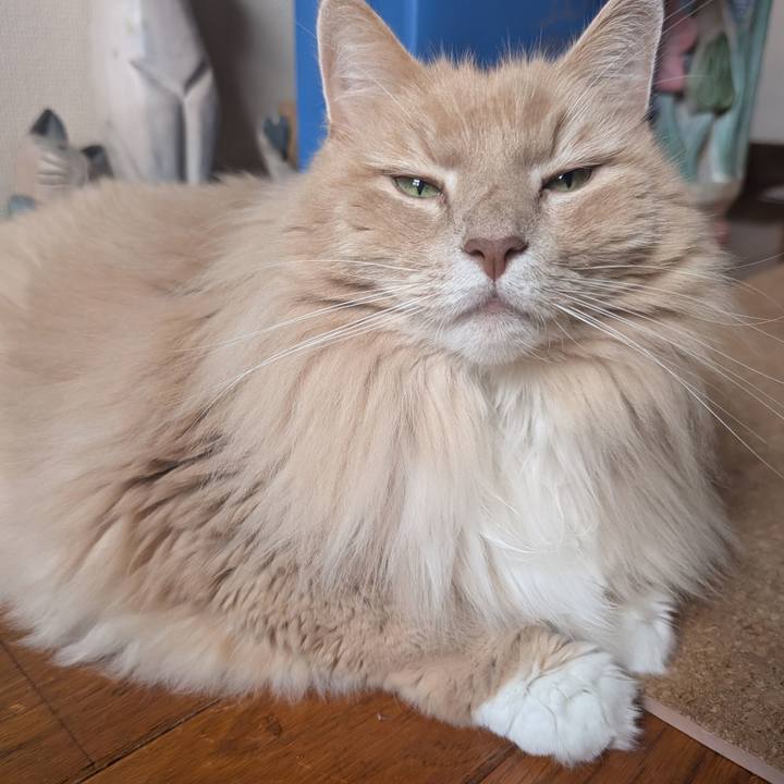 716b7b14 da1c 4592 966b 697e4fd1376f 1758779899457