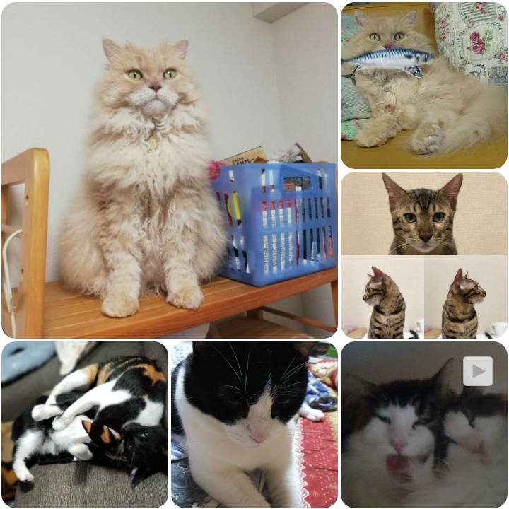 716b7b8e ddff 4997 8e16 6a0cd4413183 1567315843021