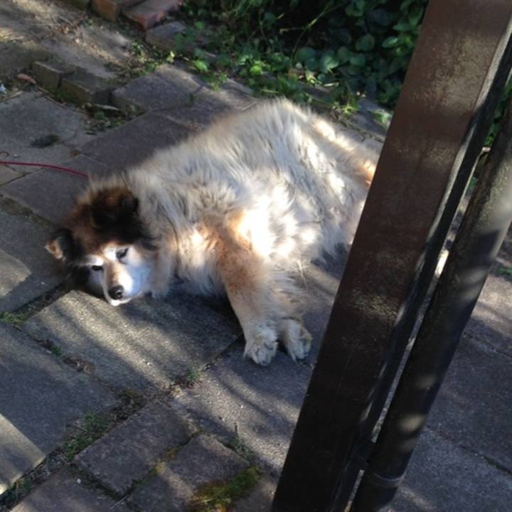 716b8cd6 d886 4c77 9aa5 343b75657863 1644232487650