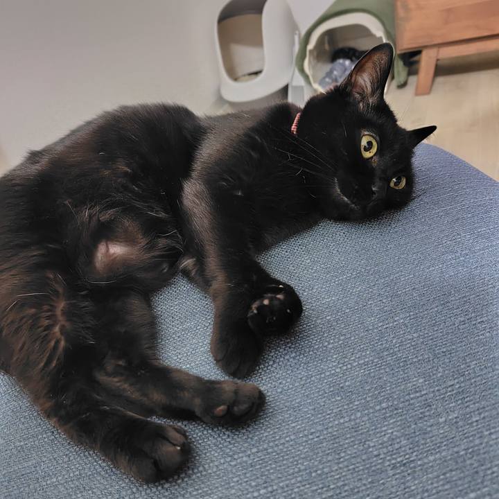 716b9331 2360 4fc1 bda1 1aa9a8f1aaef 1716637517166