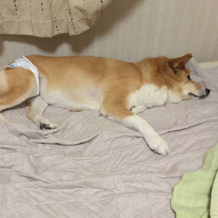 716bbe14 05d9 4c62 9125 d9f60fa4bbbc 1557142268998