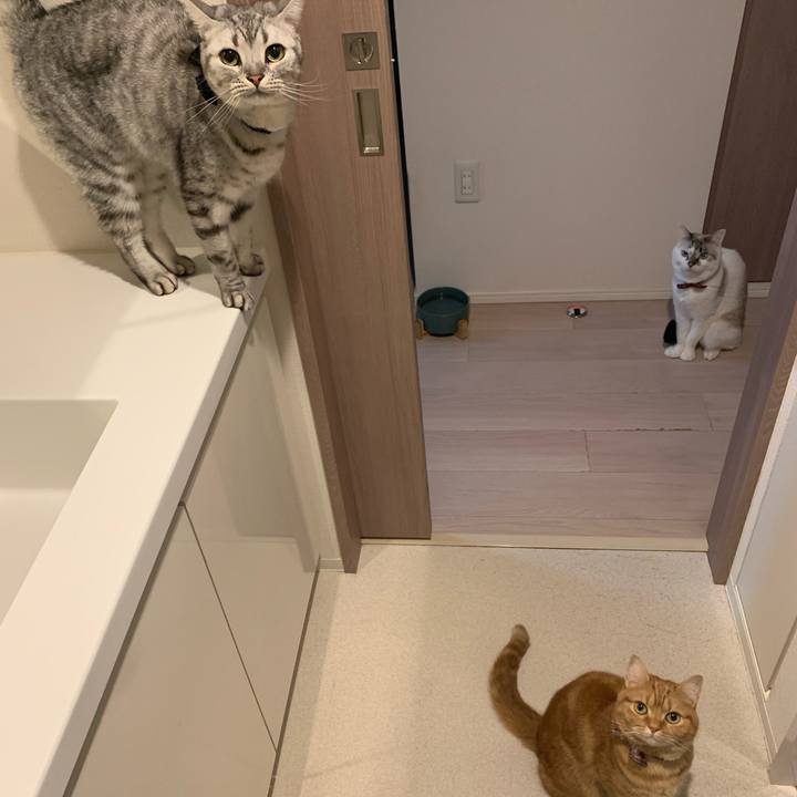 716be593 0546 4251 a78a 3d83ba9a8928 1609475180829