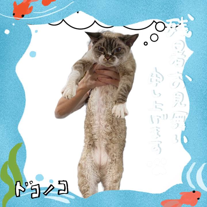 716be9b4 74bd 4c57 be4e 5cb7cfe5cb80 1723433791576