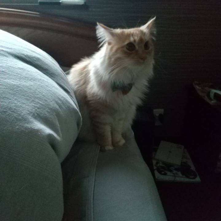 716bf5ba 2277 4b08 87c7 eb5d27a64a1b 1648591181674