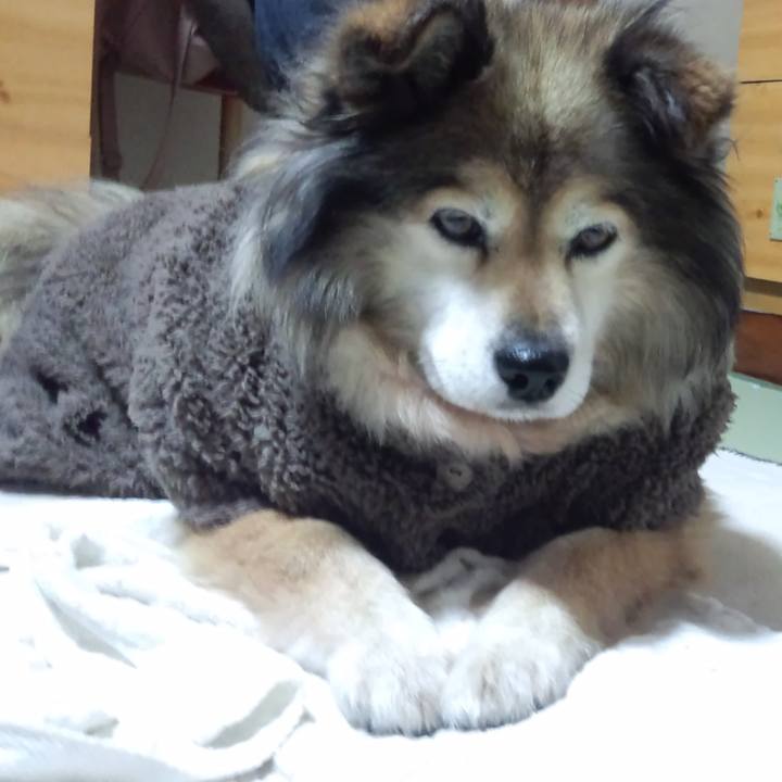 716bf69c f121 4229 9ed1 d74e2ee15067 1583119205262