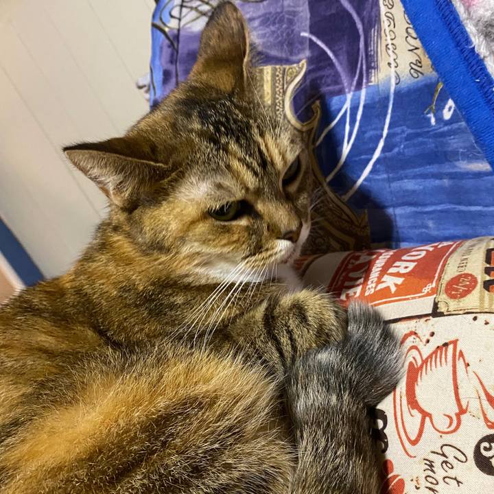 716c14ee 5f2a 4970 b839 dabb1f8421e5 1603791233493