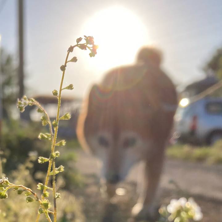 716c1704 01c2 4dce 8137 d87edf1cdb61 1681028594231