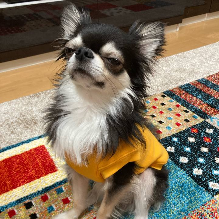 716c485f 71c8 4182 a659 e4ea91429a5b 1679842741365