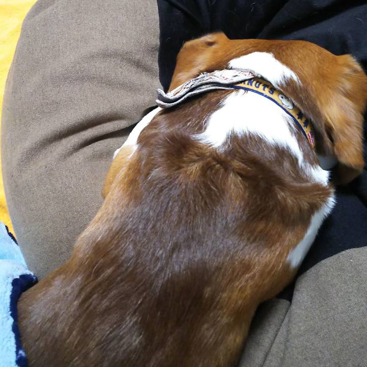 716c6088 b6f3 4748 ad1c a063dc316457 1586600680280