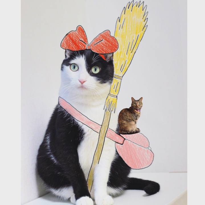 716ca11a 7636 4eb0 b3dd 26cc2985df28 1589409039835