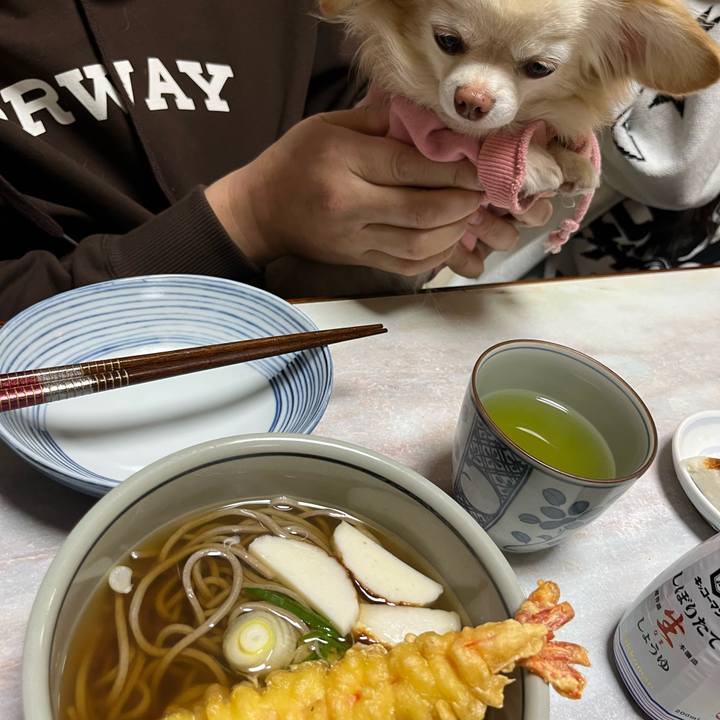 716cd077 9840 48e7 9dc3 f6934599fbca 1735717998446