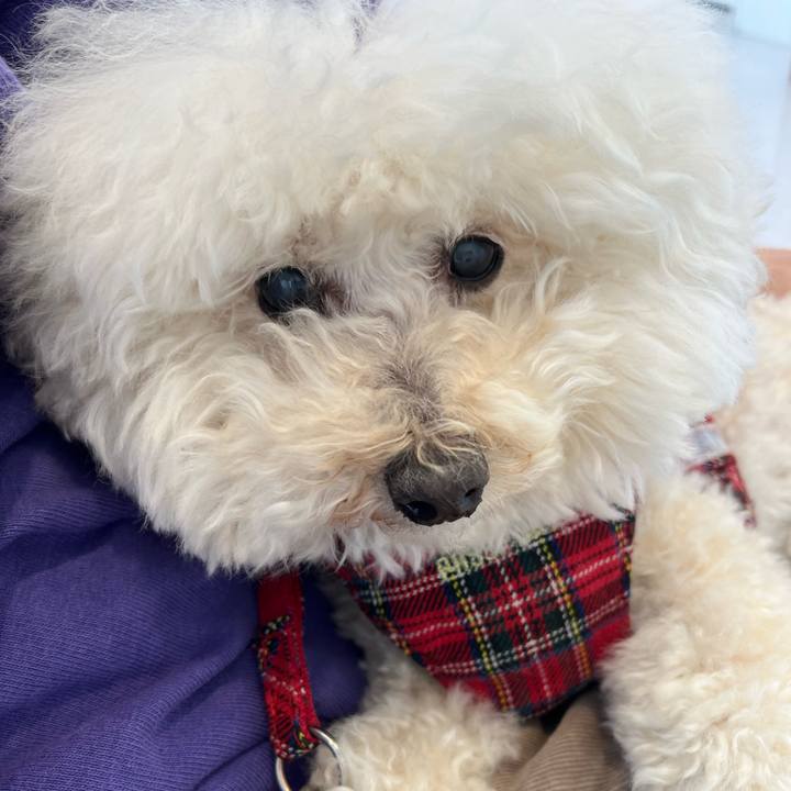 716cd14b 006e 4021 a7b5 b55f7c14b4aa 1774083959640