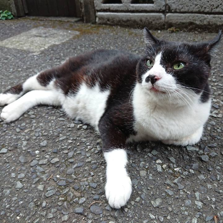 716d04de 6599 4084 b296 6bf5498aa89e 1658305551565