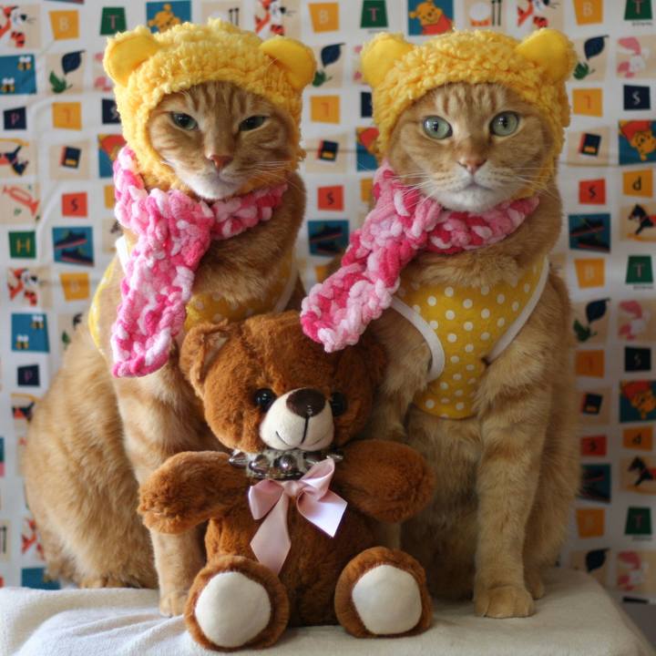 716d4efd 50da 43ab a9a4 6d8a0422b18d 1514702092973