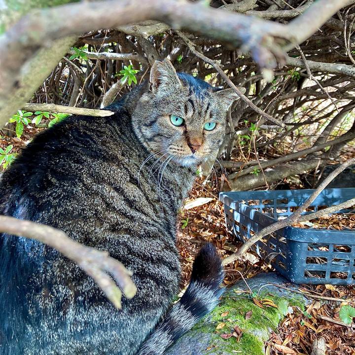 716dd00e 38da 4aaa 81dd 0b304fe2a7d4 1674187561458