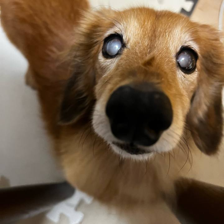 716dd2b4 0c8d 4c56 ab27 ca9d8e879dc6 1670066511397