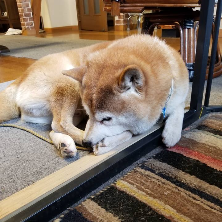 716dd7e8 7d77 41d3 a86f 13ded86be5b7 1639869847619