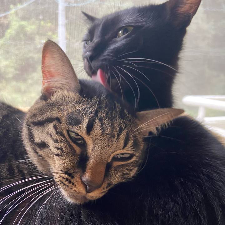 716df077 edf9 44cf a77b ad555b26be86 1665051336057