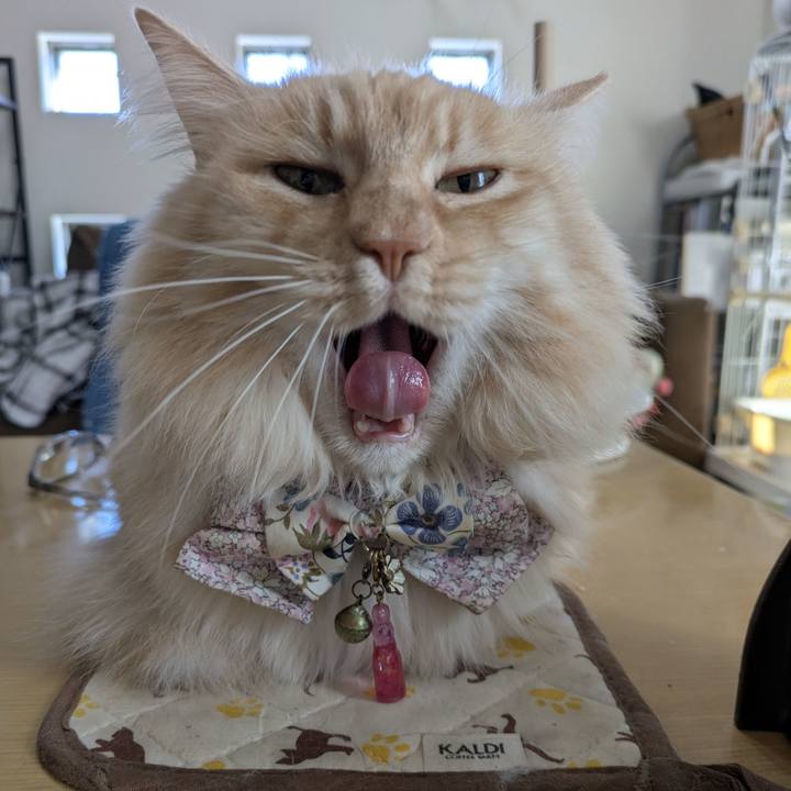 716e2695 af8a 414a 9659 c900eb9fdb2c 1767063066237