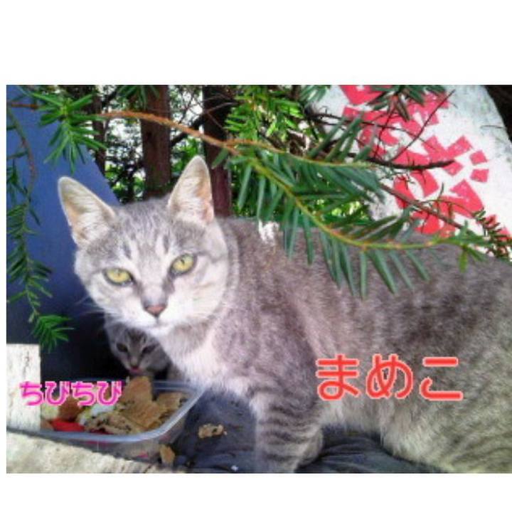 716e3813 3d9e 489e 9a08 2ed42d59758c 1550319435592