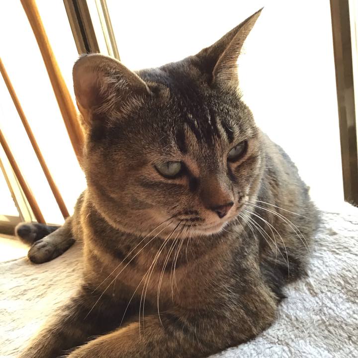 716e5c78 4224 4445 a982 d65431c67b3b 1677742231278