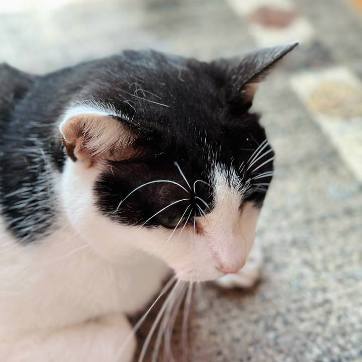 716f0503 10d1 487d a5c7 7de7f12a5a8a 1725415146588