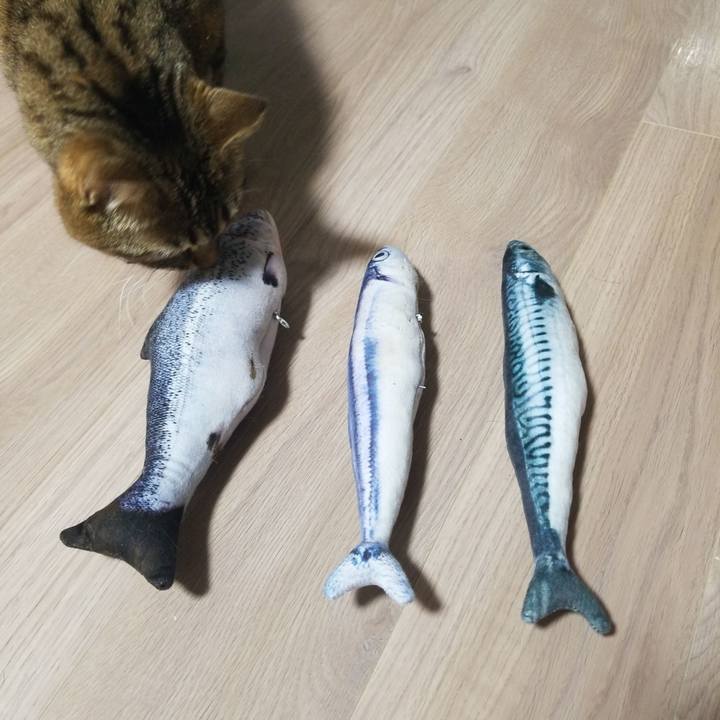 716f2282 5c70 4161 8b41 4b245c467d42 1580937455588