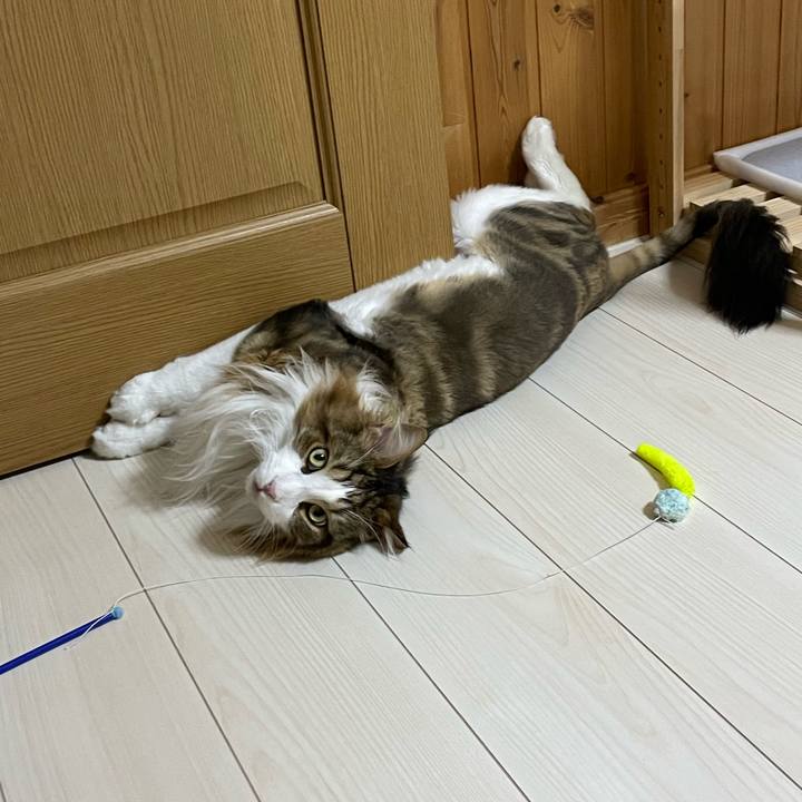 716f2e3a 0615 4b4d 9b50 7bb9006324c9 1690055689402