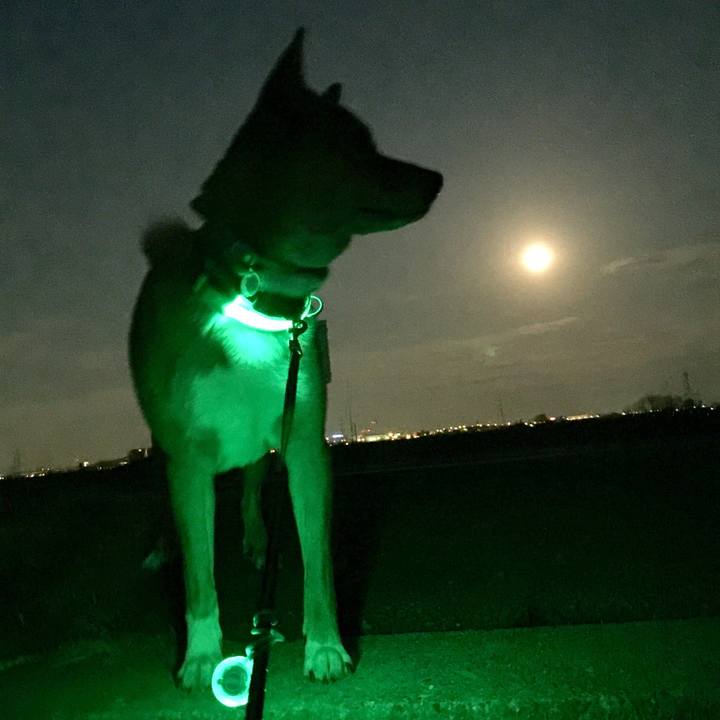 716f515a 0034 4eeb 9eda fc289240594f 1517437985117