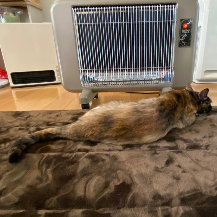 716f83e8 0f2e 4e24 8a46 3e767e05d5ef 1607993742455