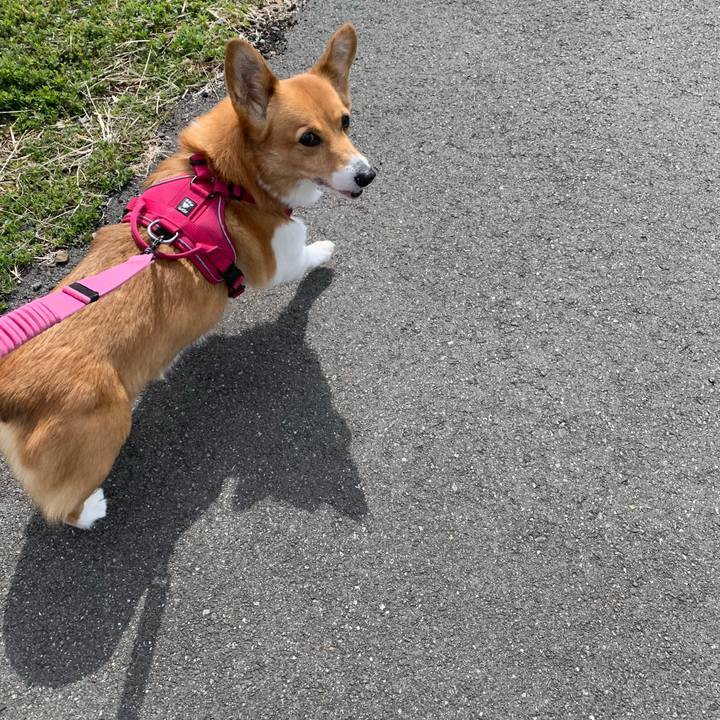 716f96b2 5768 4bbf 90c9 867f8e743725 1709887098114