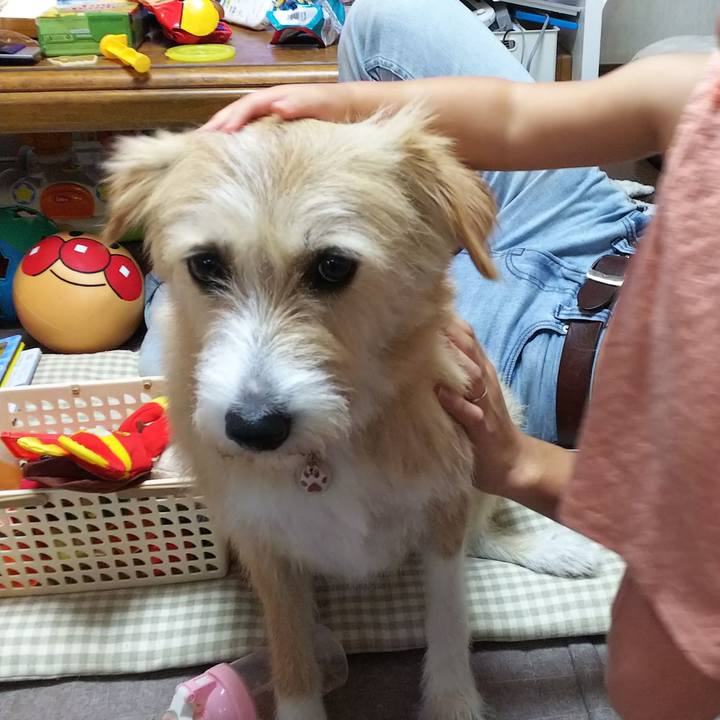 716fb2c8 2875 44d1 be35 d6dbed2a5b2e 1532853082965