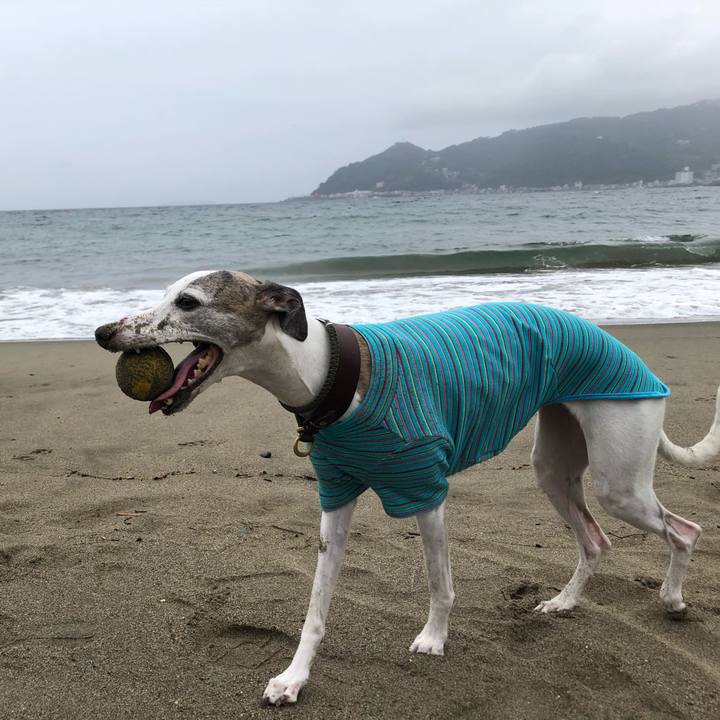 717067c0 9a52 4021 b9cb c63a347e4f60 1539434943539