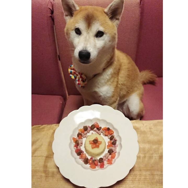 7170ce92 e1d2 4607 a674 48becfc39efe 1600427777088