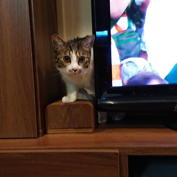 7170ff71 8835 4fe8 8c9e 65ef002b64b4 1572694172874