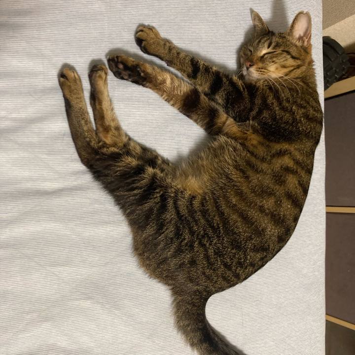 71710519 2abc 4908 8f0d a3a6a647152c 1715662545042