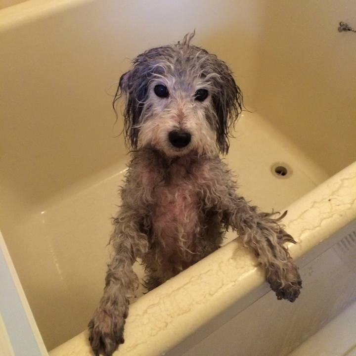 71710b36 153d 43a4 b97d 4d33d3784881 1512129727269