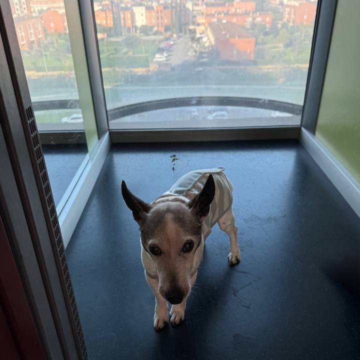 717137cd f74b 4eb7 8d68 ef9ed2484df3 1773746394803