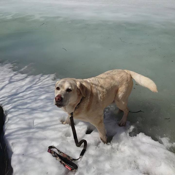 71716417 8441 4c2a a3fe adabcdc5fc37 1743048476848