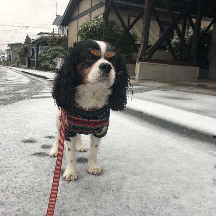 717166fe bf34 471b b94b 14ab31449ce1 1542772823850