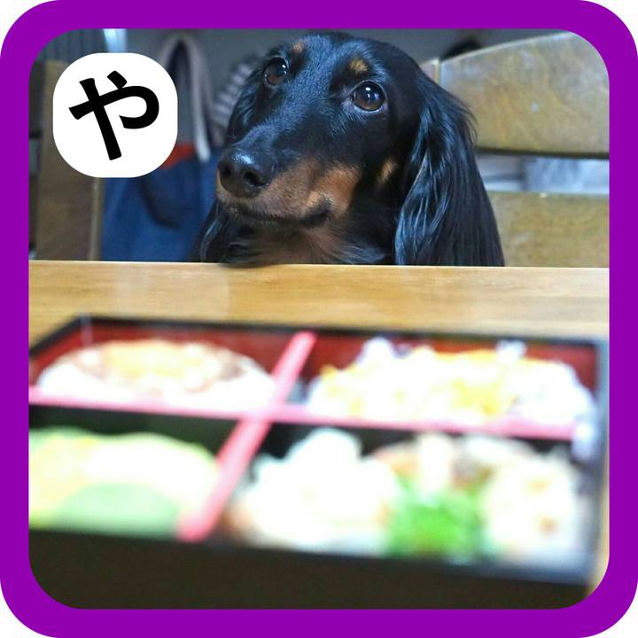 71718667 5418 4038 be92 2f5c83d7d867 1514793720262